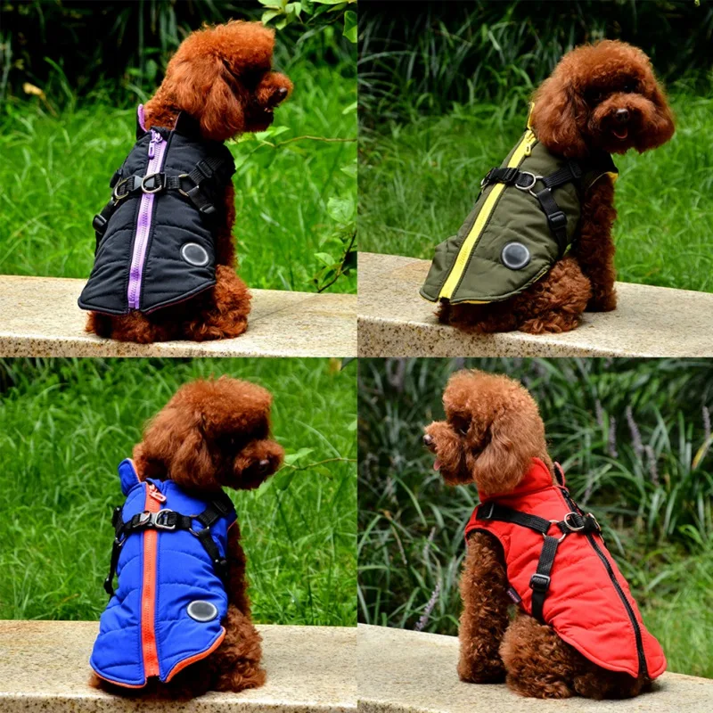 Chaqueta de invierno con arnés para perros pequeños - imagen 3