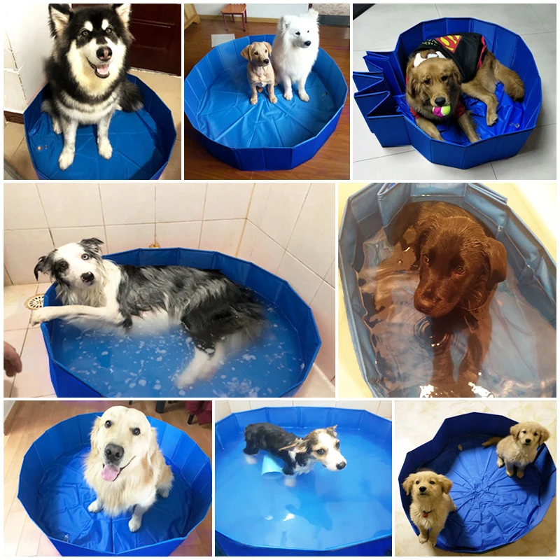 Piscina plegable para mascotas, bañera para exteriores, ducha interior para perros y patos - imagen 4