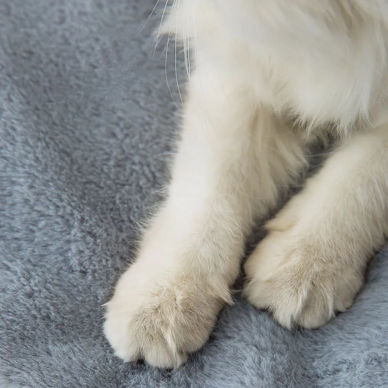 Un primer plano de la pata de un gato descansando sobre una superficie suave y texturizada. El pelaje del gato parece blanco y la pata está ligeramente curvada, con los dedos visibles.