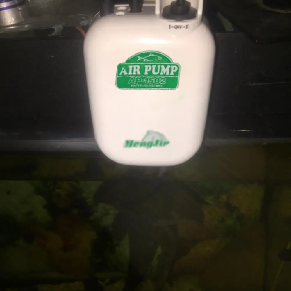 Aireador de pesca, bomba de aire fuerte para acuario, velocidad ajustable, bomba de oxígeno - imagen 5