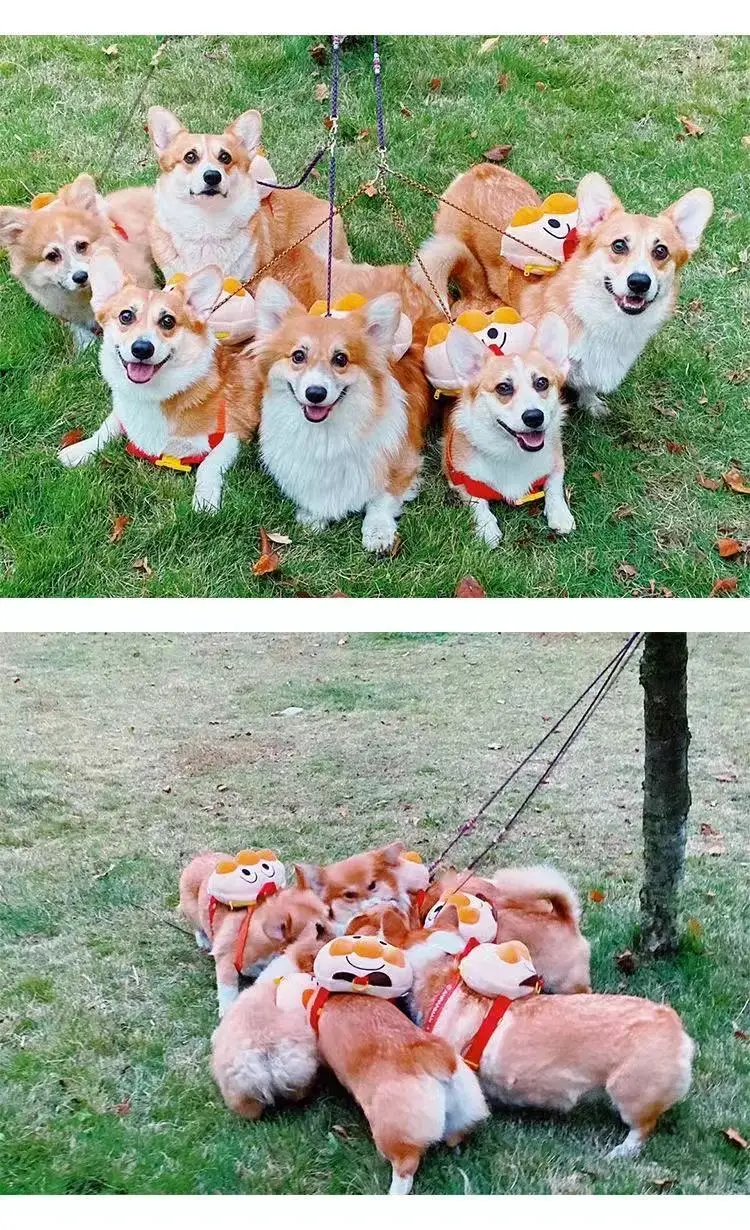 Mochilas para perros pequeños, bonitas mochilas para mascotas con pan, peluches, Corgi, mochilas para salir, cuerda de tracción, accesorios para perros - imagen 4