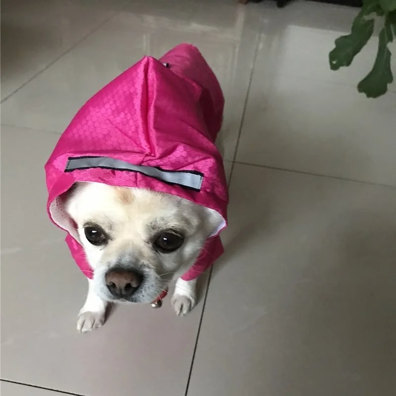 Un pequeño perro blanco con un impermeable rosa