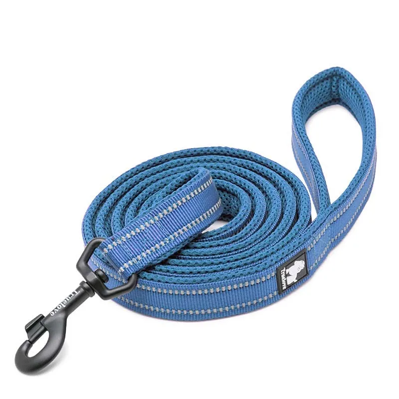 Blue Dog Leash