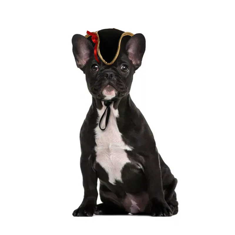 Gorro para perro y gato, divertido producto para mascotas de Halloween para fotografía, Cosplay, sombrero de policía, disfraz de vacaciones, accesorios para Chihuahua Yorkshire - imagen 5