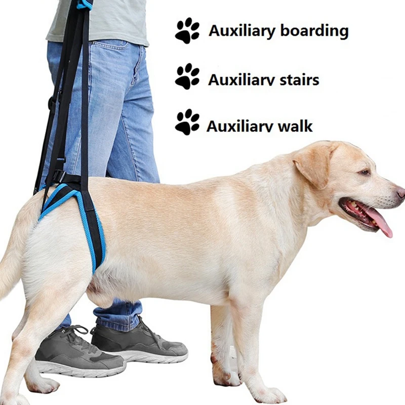 Arnés de soporte para mascotas, herramienta de ayuda para patas flojas, para levantar la espalda, para perros viejos, S-XL - imagen 4