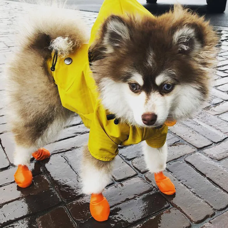Abrigo impermeable XLeiPet para perros medianos y grandes - imagen 5