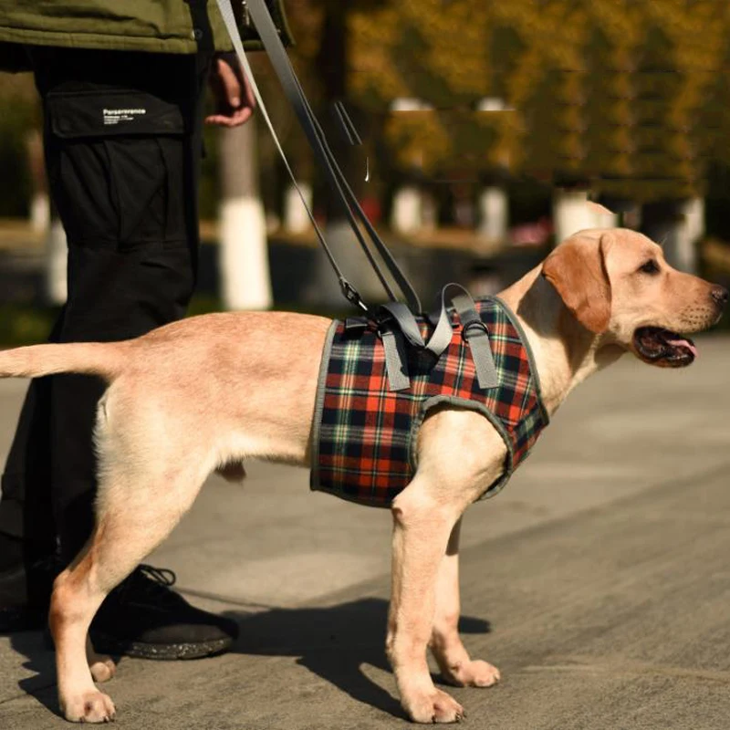 Arnés de soporte para levantamiento de mascotas, chaleco de elevación a cuadros con mango suave Ajustable, correas de ayuda para perros viejos, patas traseras delanteras dañadas - imagen 3
