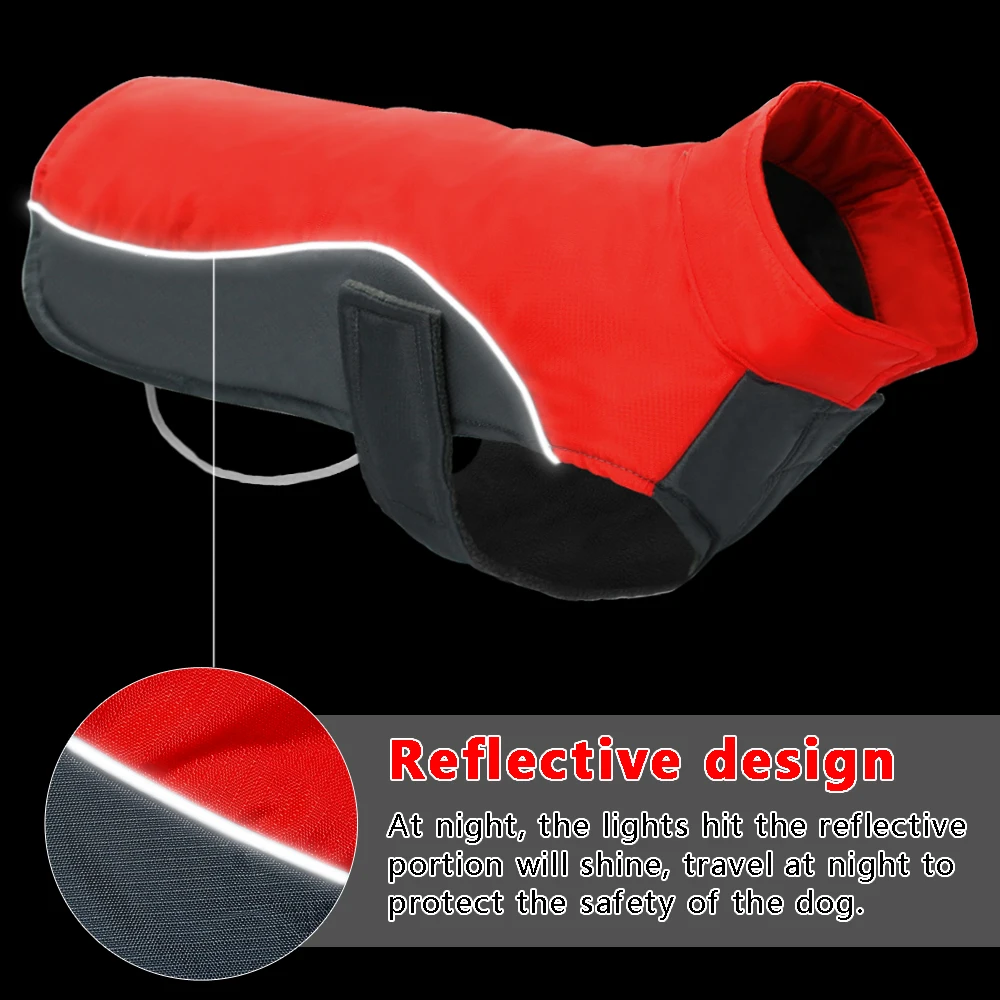 Abrigo en Chihuahua mostrando ajuste perfecto