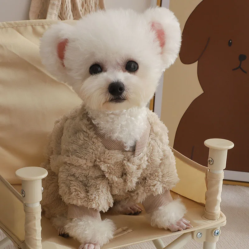 Un pequeño perro blanco sentado en una silla