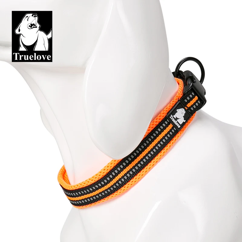 orange dog collar