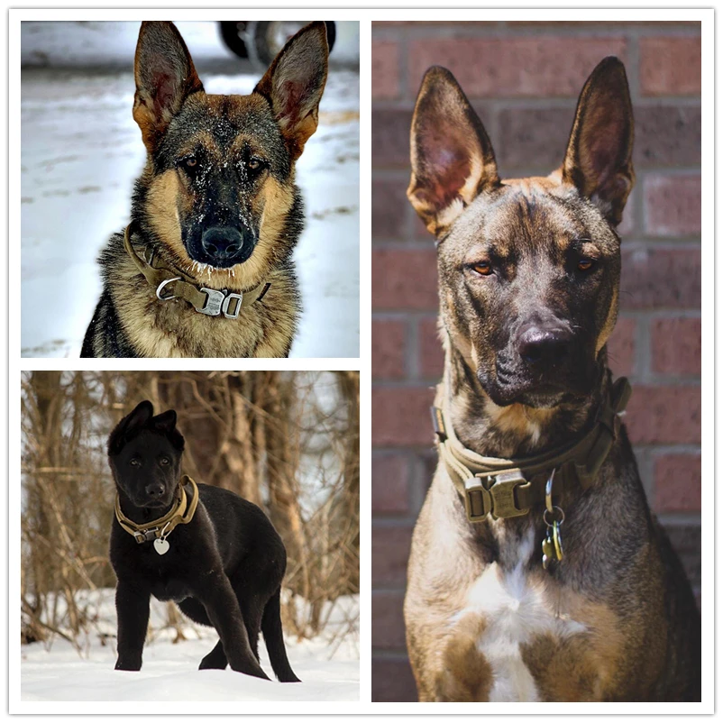 Benepaw-Collar táctico de alta resistencia para perros medianos y grandes, con mango, ajustable, duradero, pastor de entrenamiento alemán - imagen 2