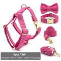 Harness 5pcs Set
