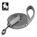 Grey Dog Leash