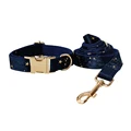 Dog Collar Leash Set