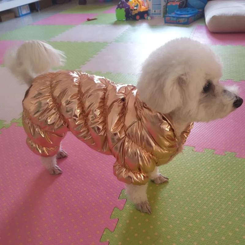 O1CN01VmPKb52F0gzgPapqG_!!0-rate