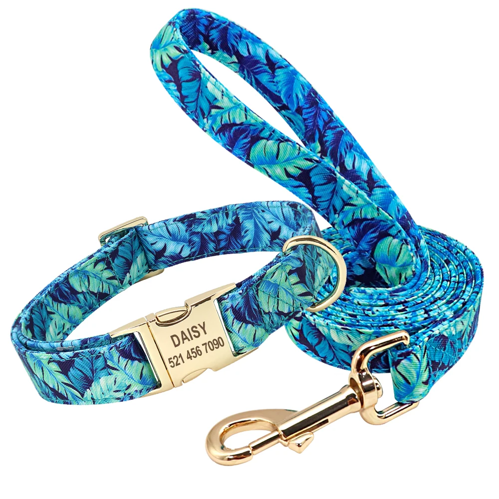 Blue collar leash