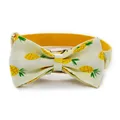 bowtie collar