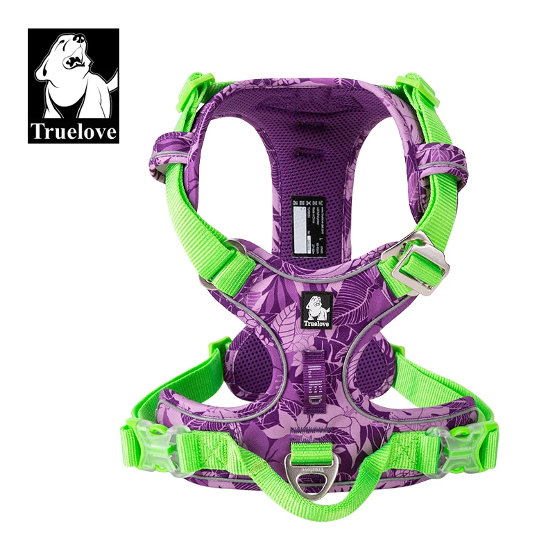 Purple green harness