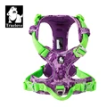 Purple green harness