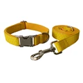 Dog Collar Leash Set