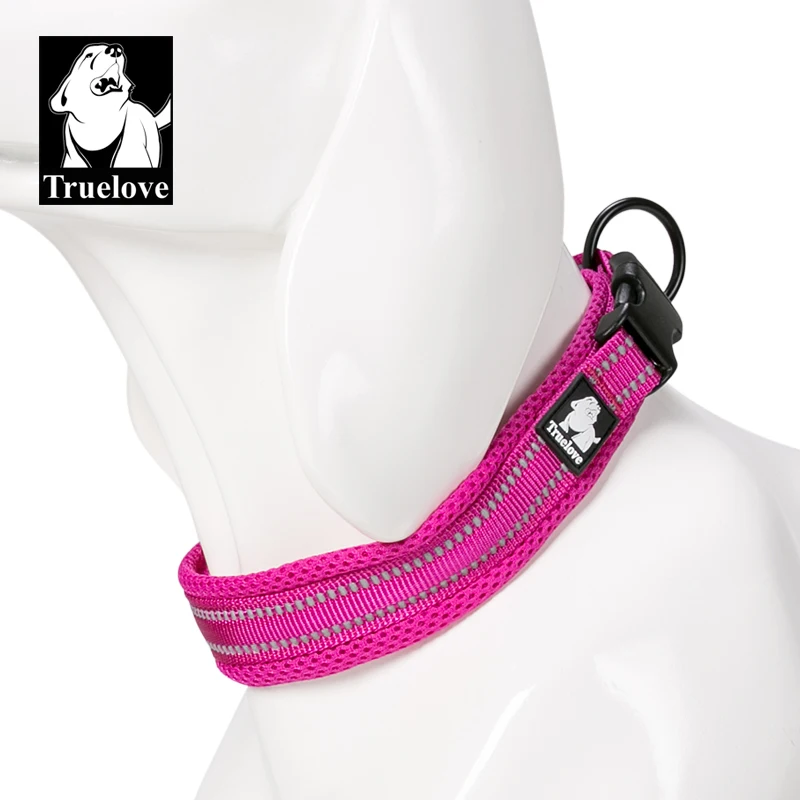 fuchsia dog collar