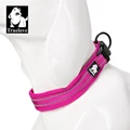 fuchsia dog collar