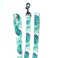 Green dog leash