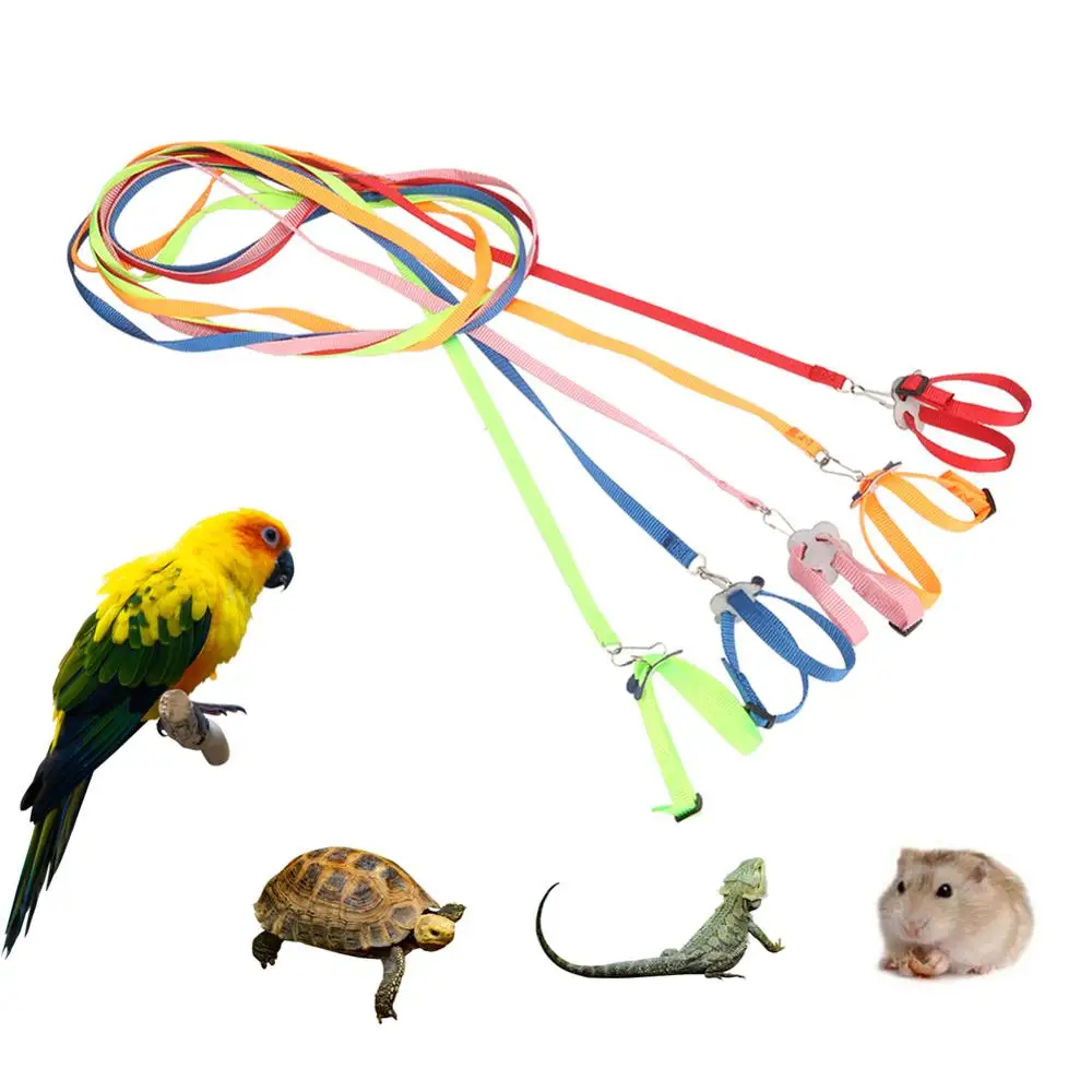 Arnés ajustable para mascotas, correa para reptiles, tortuga, gerbil, lagarto, adiestramiento al aire libre, correa suave, antimordida, cuerda de tracción ligera Multicolor