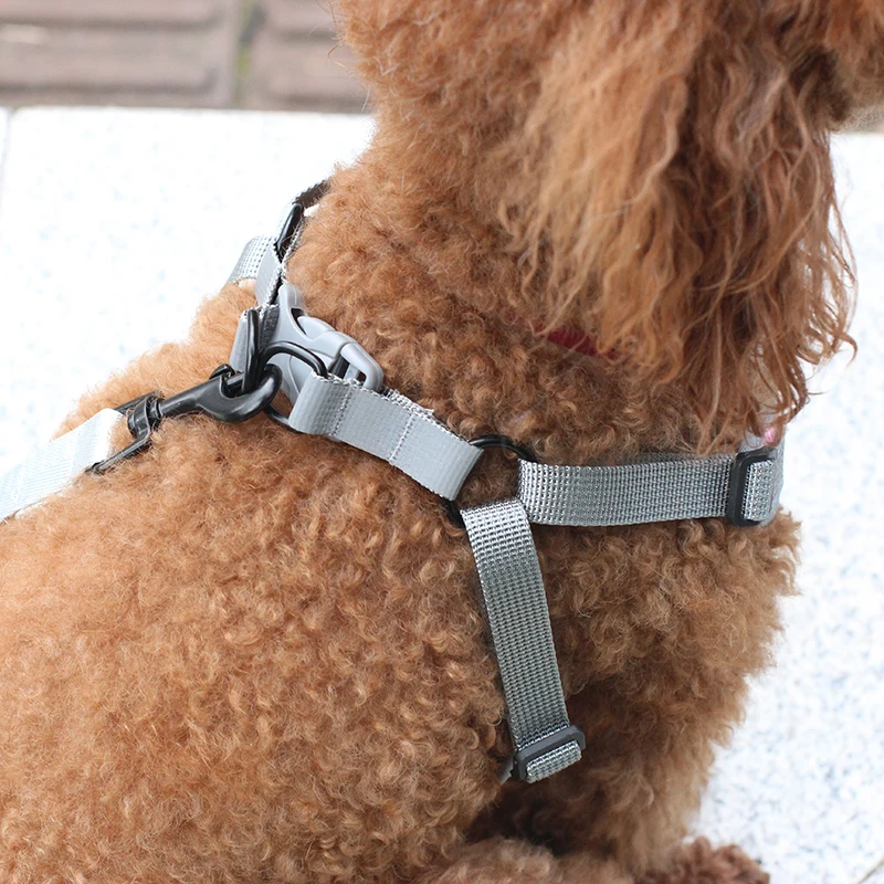 Arnés Reflectante de Malla XLeiPet - imagen 4