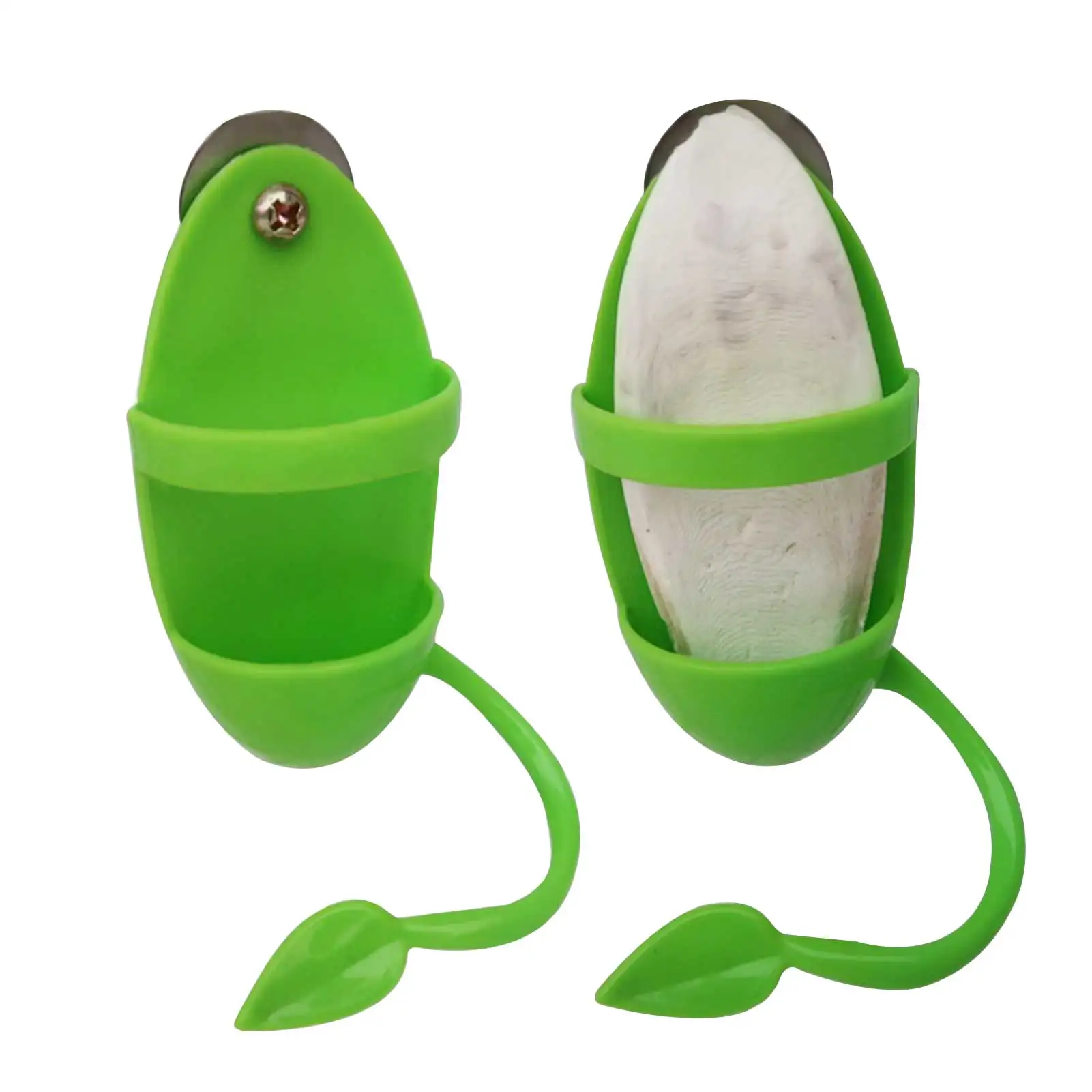 Alimentador de aves y loros, estante de comida de hueso de sepia, juguete para aves, suministros para loros, cesta de verduras y frutas, contenedor de alimentos - imagen 5