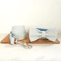 Bow Tie Collar Leash