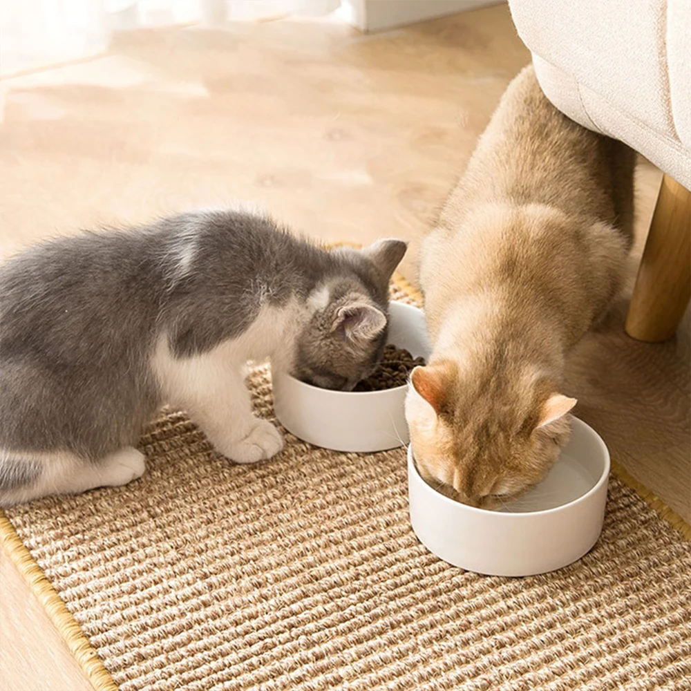 Rascador para gatos, alfombrilla de Sisal Natural, garras de molienda, juguete, silla, mesa, sofá, Protector de muebles, accesorios para gatos resistentes al desgaste - imagen 3