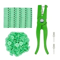 Green no numbers