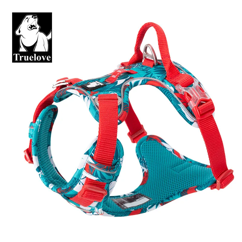 Blue dog harness