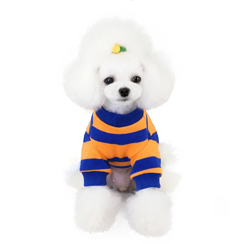 Perro pequeño usando el suéter de invierno a rayas