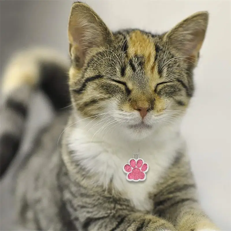 Etiqueta de identificación personalizada para mascotas, etiquetas de nombre de acero inoxidable, accesorios de collar, placa de identificación personalizada con llavero - imagen 5