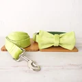 Bow Tie Collar Leash