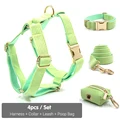 Harness Collar Set