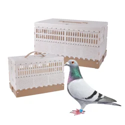 Jaula plegable para palomas – entrenamiento, liberación y competición portátil