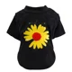 Black Yellow Daisy