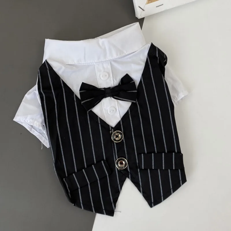 Perro posando con abrigo formal azul para boda