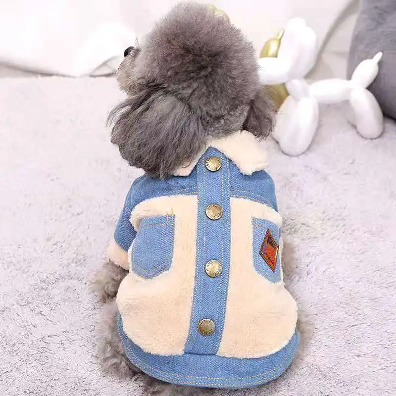 Chaqueta de perro para Otoño/Invierno, abrigo grueso, guapo, oso de peluche, doble, suministros de ropa para mascotas en Stock ahora en la temporada Popular - imagen 4