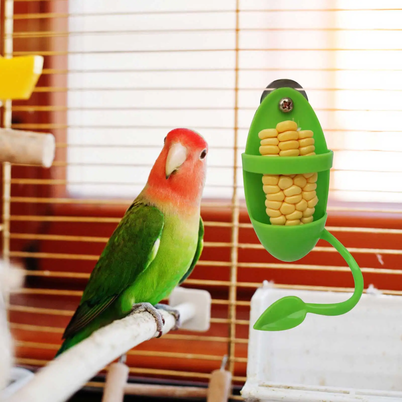 Alimentador de aves y loros, estante de comida de hueso de sepia, juguete para aves, suministros para loros, cesta de verduras y frutas, contenedor de alimentos - imagen 2