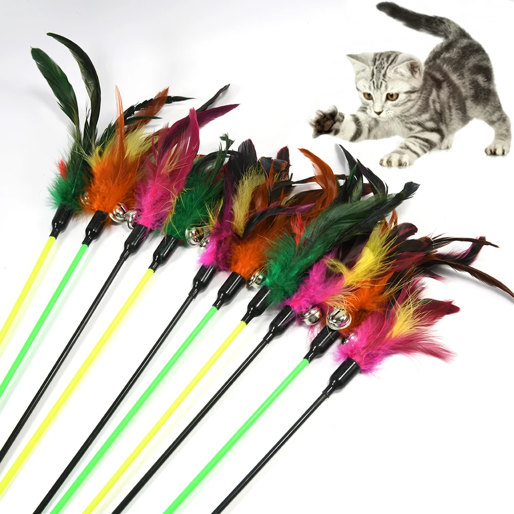 Un gato está detrás de una fila de plumas coloridas