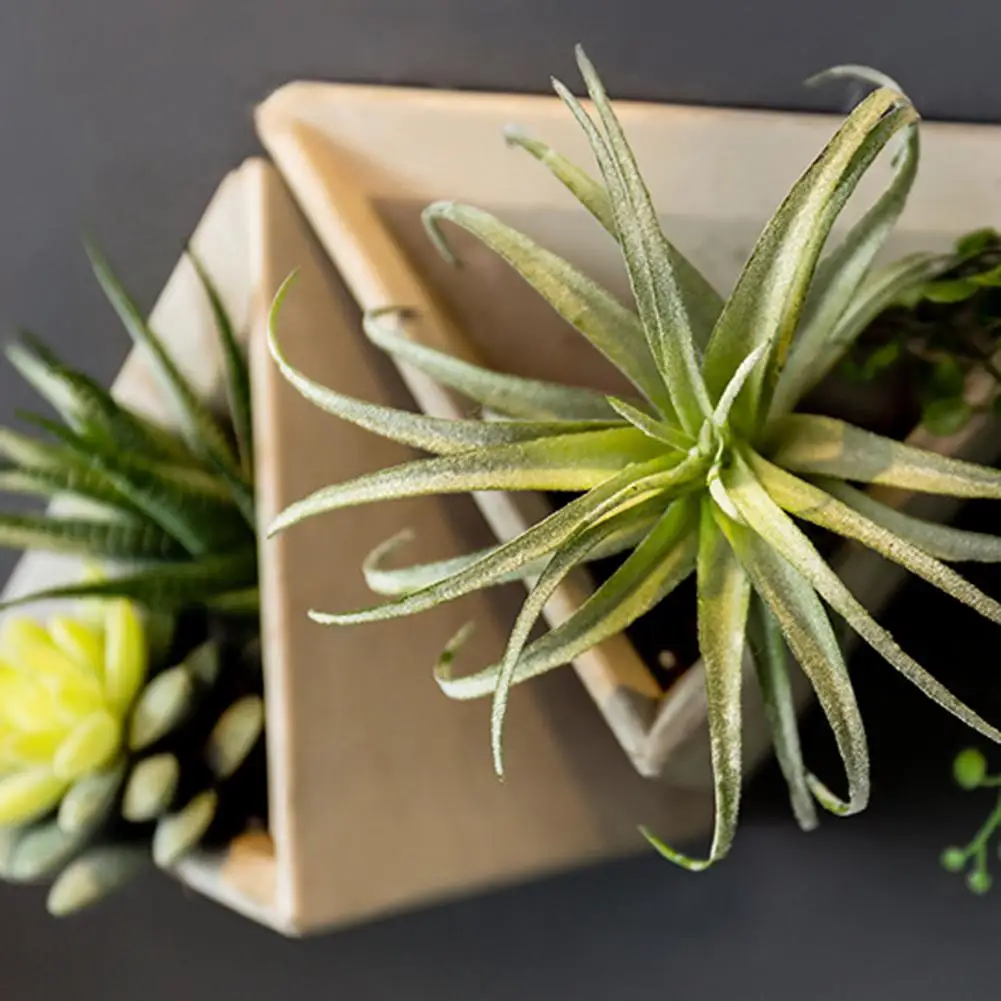 Maceta de pared triangular de estilo europeo Retro, arreglo de flores de cemento, maceta colgante, decoración de Patio, 1 Juego - imagen 5