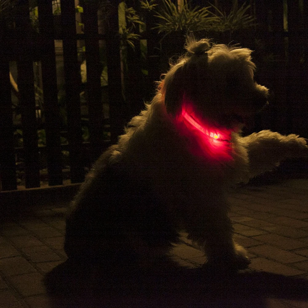 Collar de perro Led recargable por USB, Collar antipérdida/evita accidentes de coche para perros, cachorros, suministros LED, productos para mascotas - imagen 5