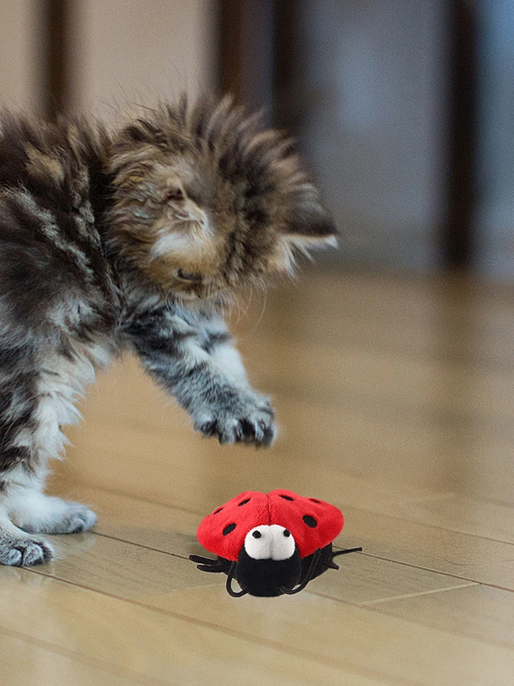 De juguete de gato juguetes interactivos para gato Vocal juguete de gato falso de insectos para gatos jugando a la caza de caña para gatos de reemplazo de mascotas - imagen 5