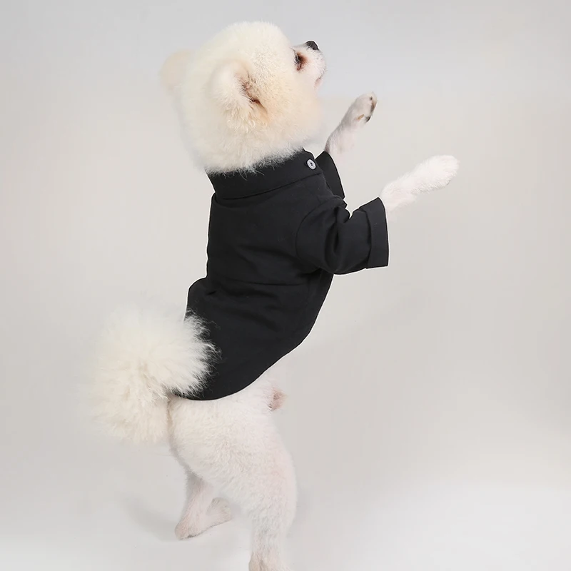 Sudadera capucha perro pomerania - Empaque y presentación