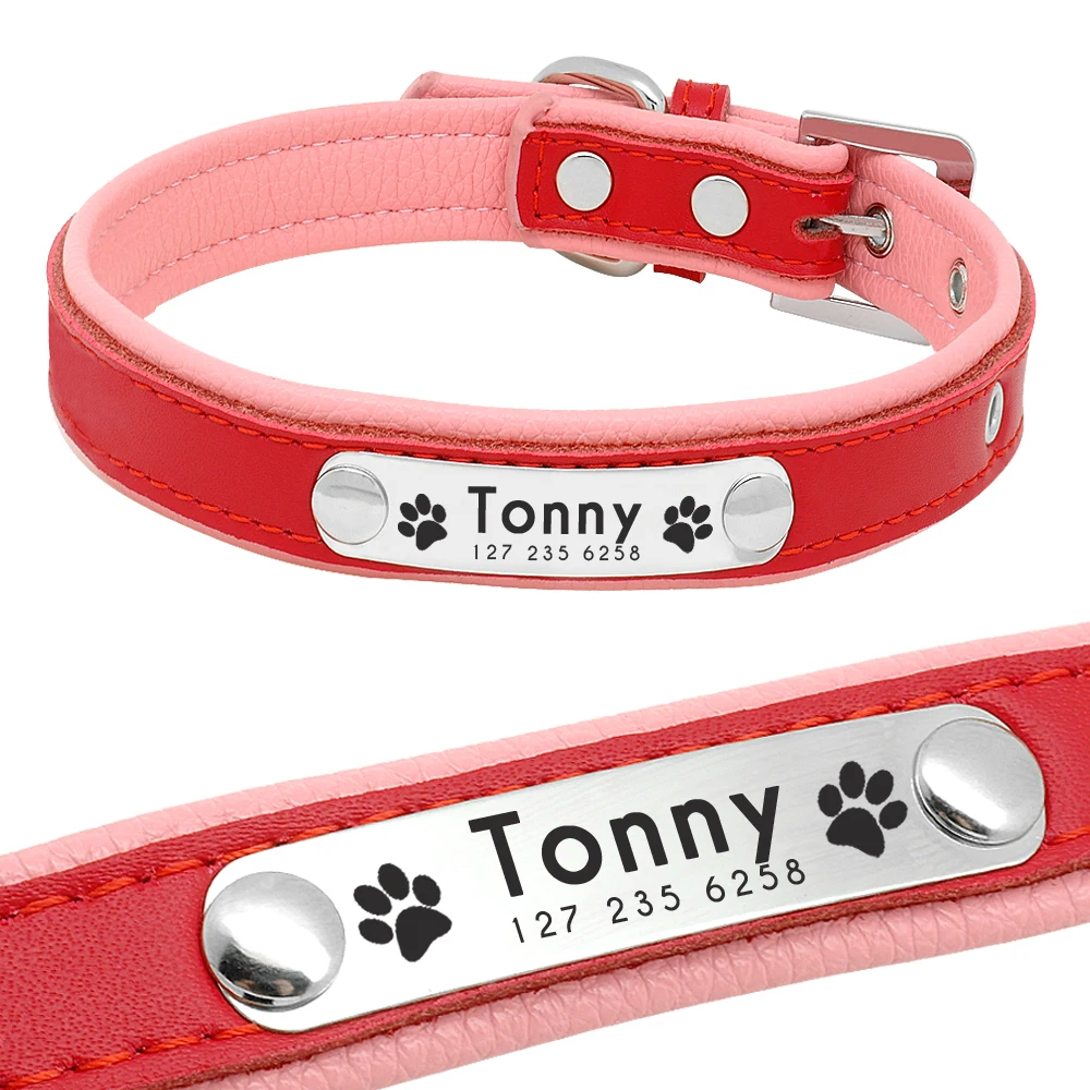 Un collar de cuero rojo con una hebilla plateada y un estampado de pata