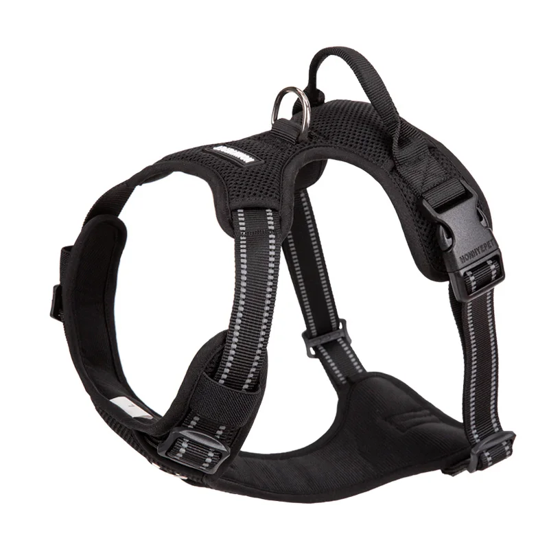 Black dog harness